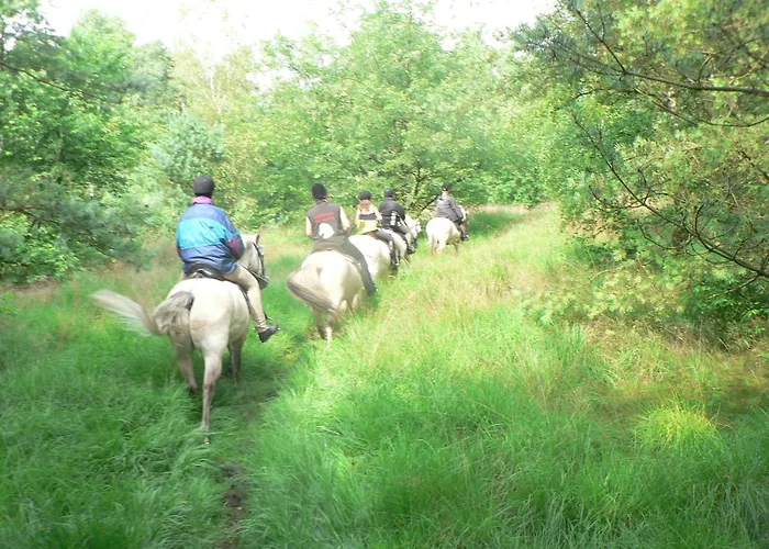 Appartamento 3 Gross Vollstedt